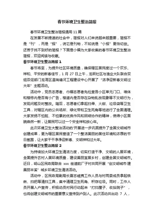 春节环境卫生整治简报