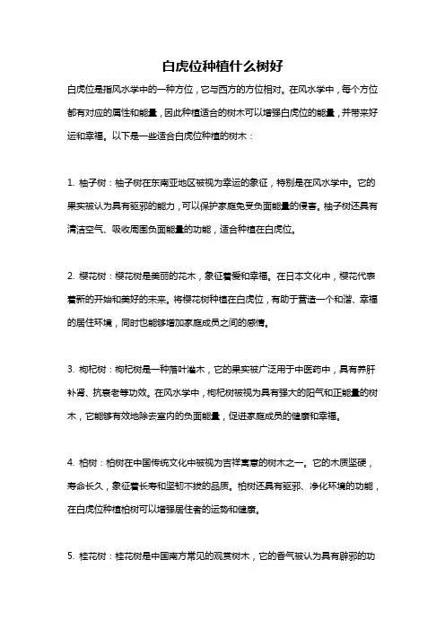 白虎位种植什么树好