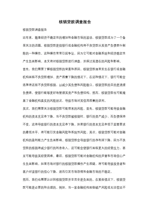 核销贷款调查报告