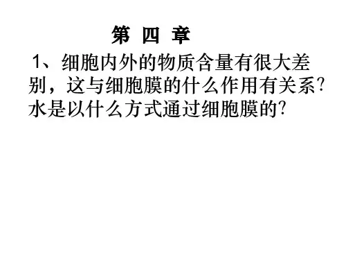 高中生物必修一第四章