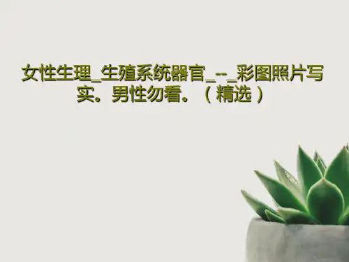 女性生理_生殖系统器官_--_彩图照片写实。男性勿看。(精选)PPT共27页