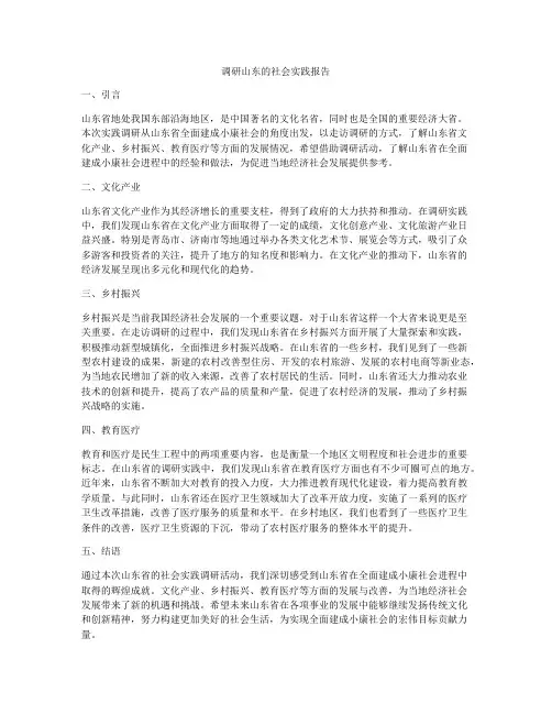 调研山东的社会实践报告