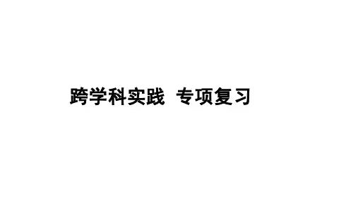 2025年中考物理二轮专项复习课件--跨学科实践+