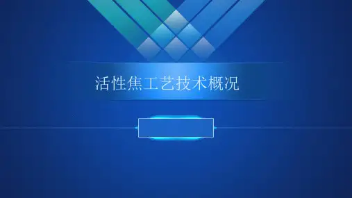 活性焦设备工艺技术概况