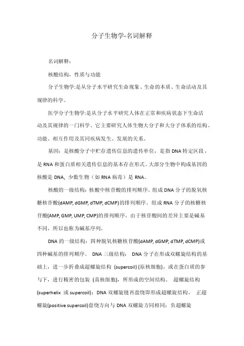 分子生物学-名词解释