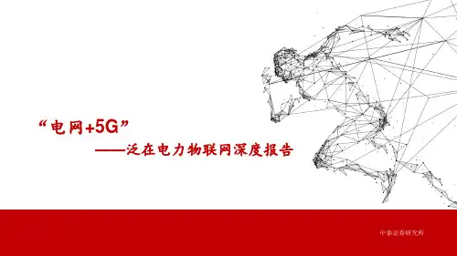“电网+5G”-电力物联网深度报告