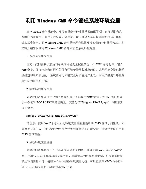 利用Windows CMD命令管理系统环境变量