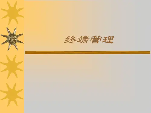 快速消费品终端管理PPT
