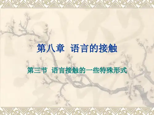 语言学第八章语言的接触