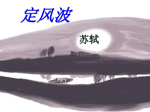 定风波具体分析ppt课件