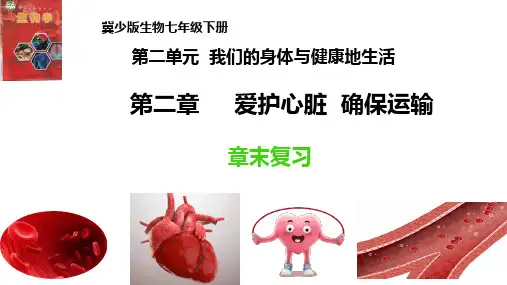 第二单元第二章《爱护心脏确保运输》章末复习课件