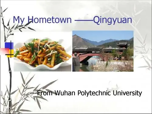 庆元介绍英文版 PPT