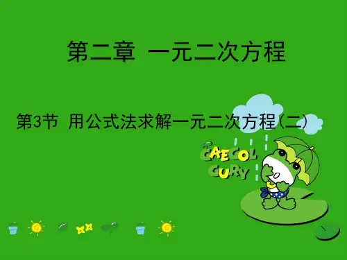 《用公式法求解一元二次方程》PPT课件 (公开课获奖)2022年北师大版 (7)