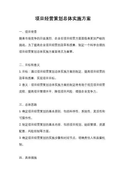 项目经营策划总体实施方案