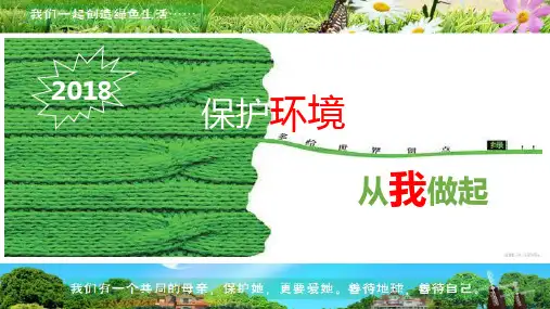 综合实践活动课件：保护环境 从我做起 (共39张PPT)