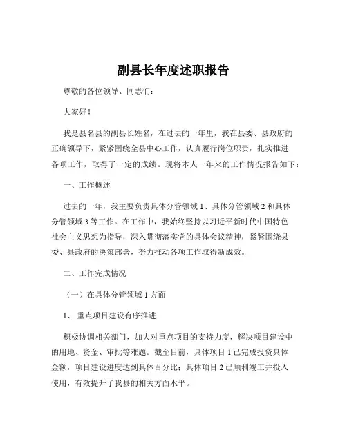 副县长年度述职报告
