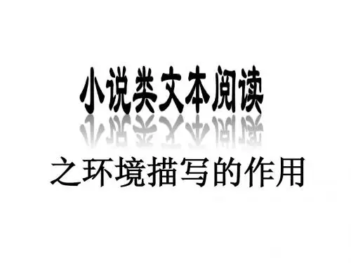 2015山东高考二轮复习小说阅读之环境描写