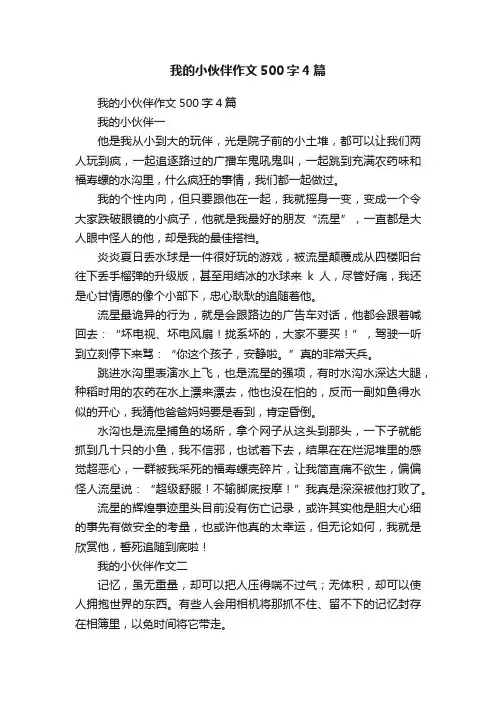 我的小伙伴作文500字4篇