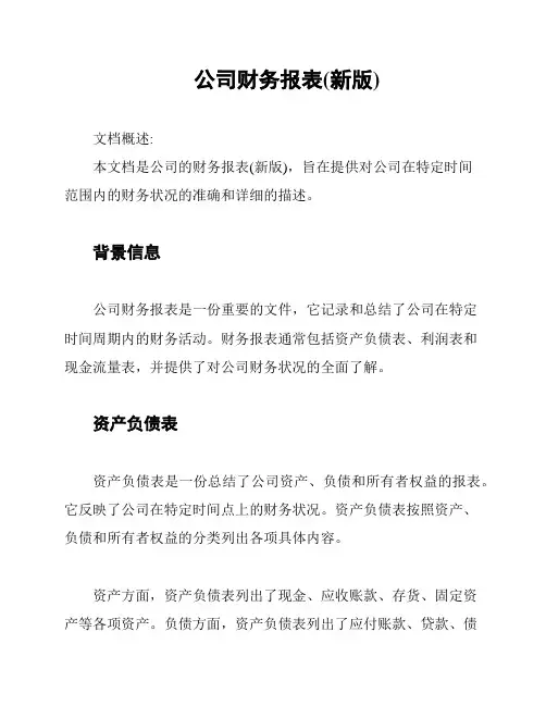 公司财务报表(新版)