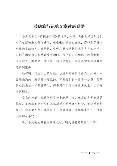 骑鹅旅行记第3章读后感悟