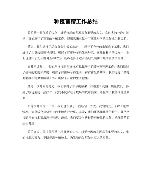 种植苜蓿工作总结