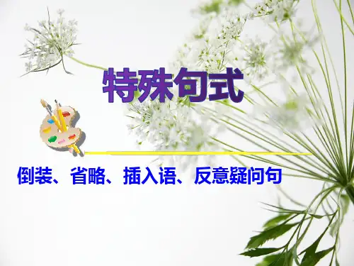 英语语法—特殊句式