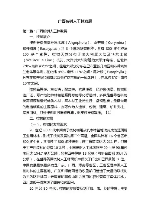广西桉树人工林发展