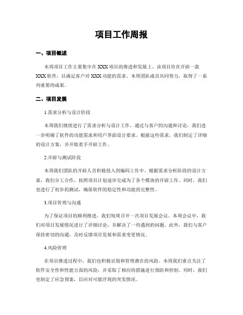项目工作周报