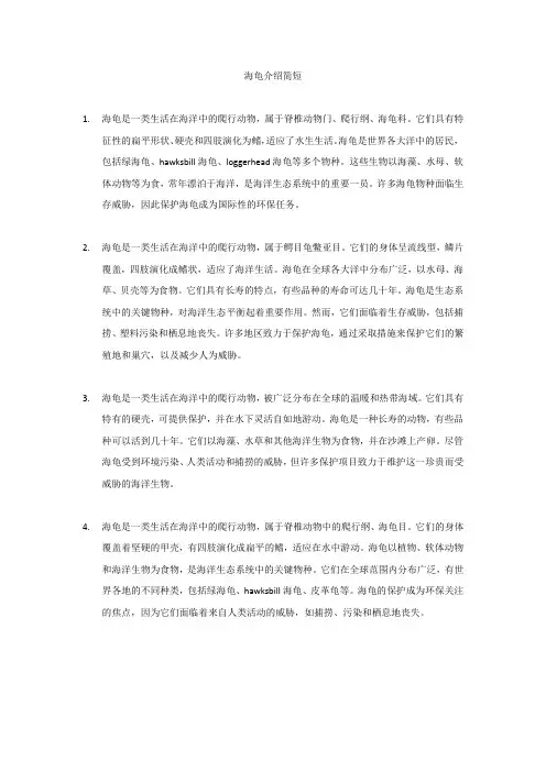 海龟介绍简短