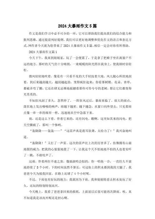 2024大暴雨作文5篇