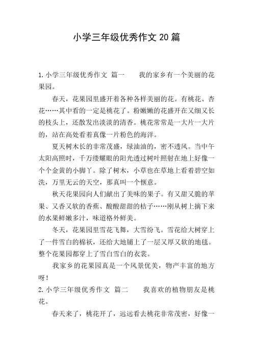 小学三年级优秀作文20篇