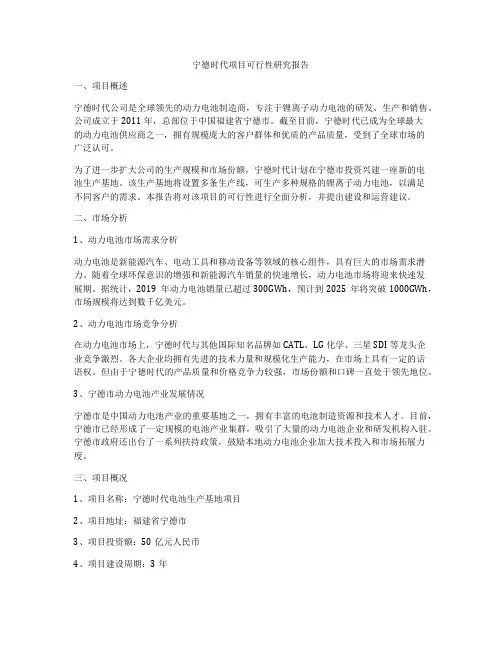宁德时代项目可行性研究报告
