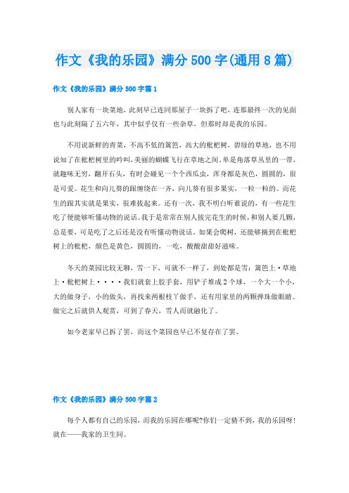 作文《我的乐园》满分500字(通用8篇)