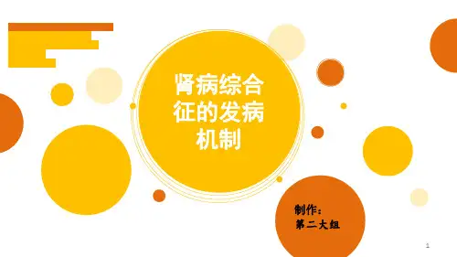 肾病综合征发病机制ppt课件