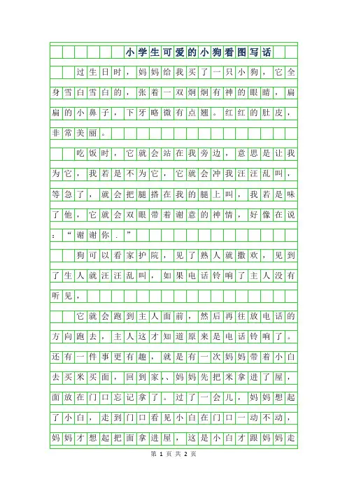 2019年小学生可爱的小狗看图写话作文