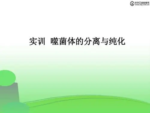 1-3-3 实训 噬菌体的分离与纯化