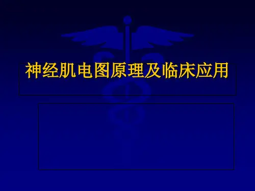 神经肌电图的临床应用PPT课件
