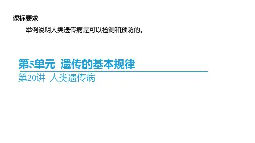 高三生物一轮复习课件 第20讲人类遗传病