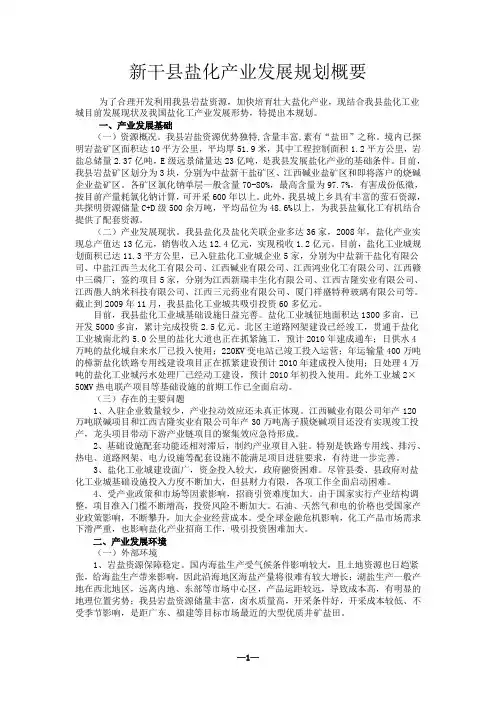 新干县盐化产业发展规划概要