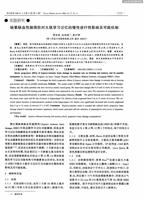缺氧缺血性脑损伤对大鼠学习记忆的慢性进行性影响及可能机制