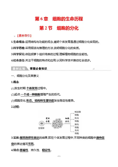 2022-2023学年  人教版 必修一 细胞的分化 教案