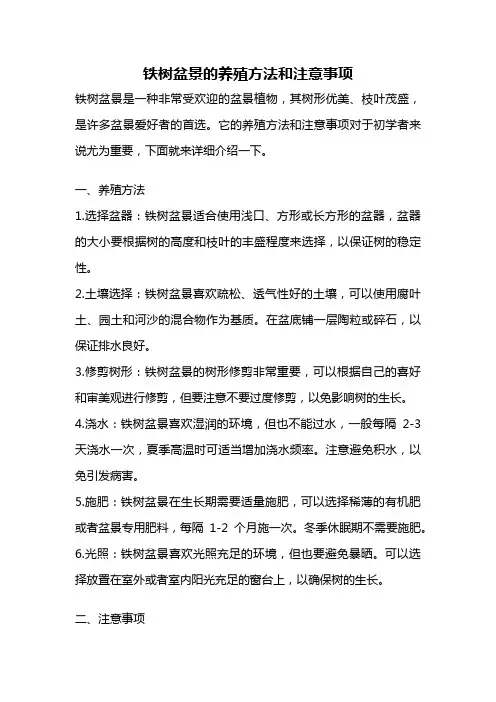 铁树盆景的养殖方法和注意事项