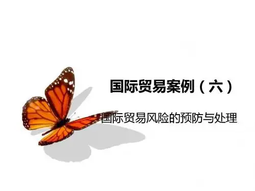 国贸案例6-风险的预防和处理