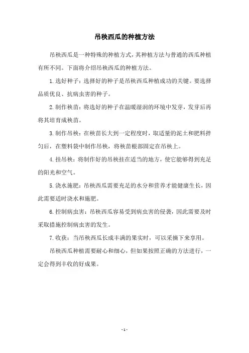 吊秧西瓜的种植方法