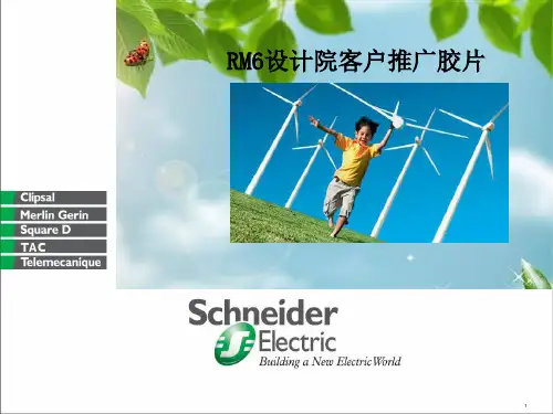 施耐德 RM6 中压开关柜