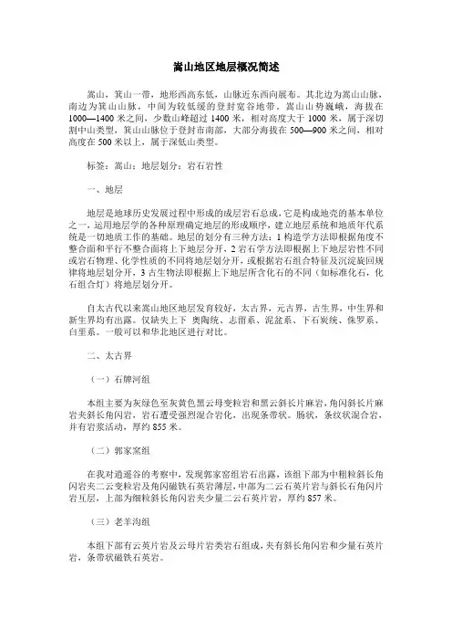 嵩山地区地层概况简述