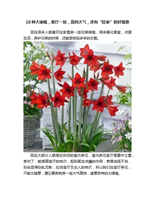 10种大绿植，客厅一放，高档大气，还有“旺家”的好寓意
