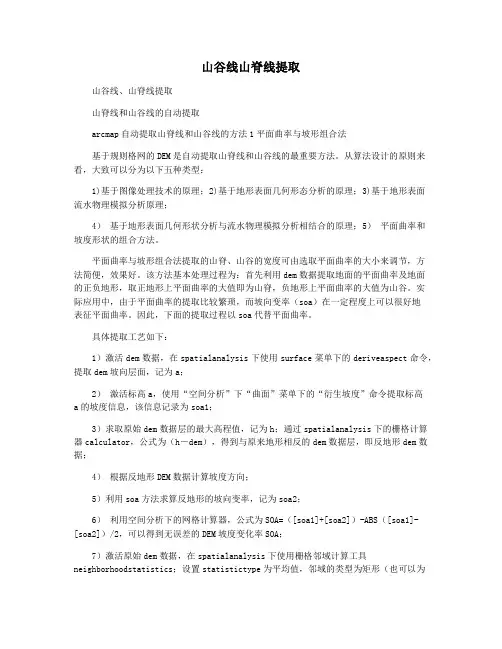 山谷线山脊线提取