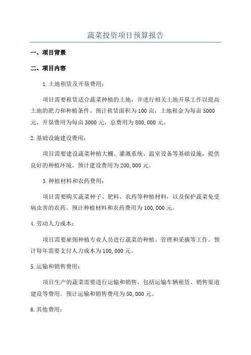蔬菜投资项目预算报告