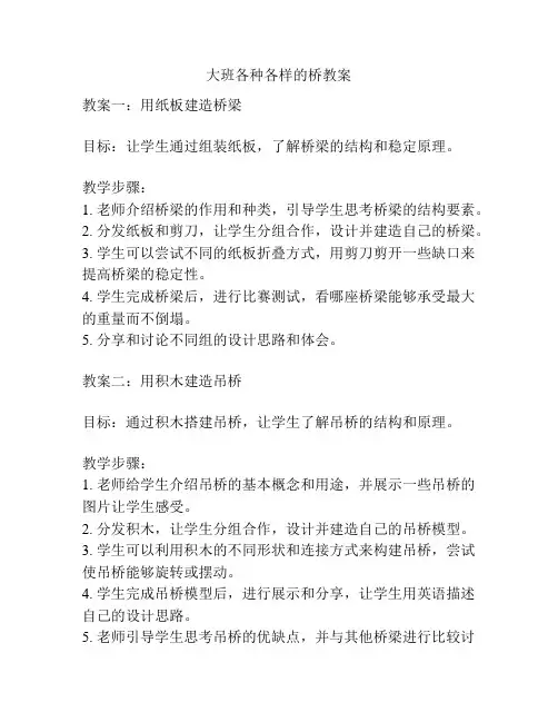 大班各种各样的桥教案